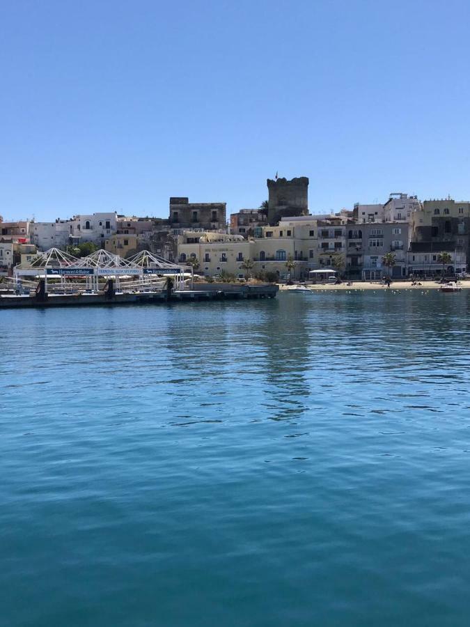 Il Vicariello Daire Ischia Dış mekan fotoğraf